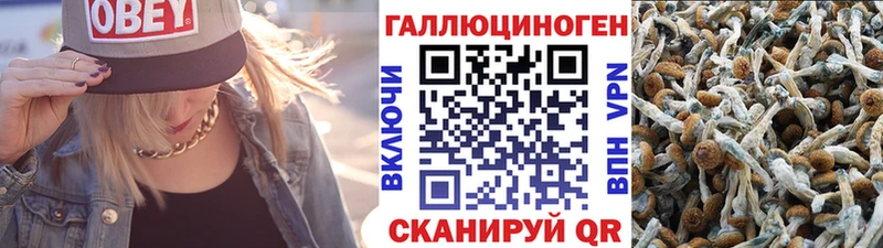 Галлюциногенные грибы ЛСД  Никольск 